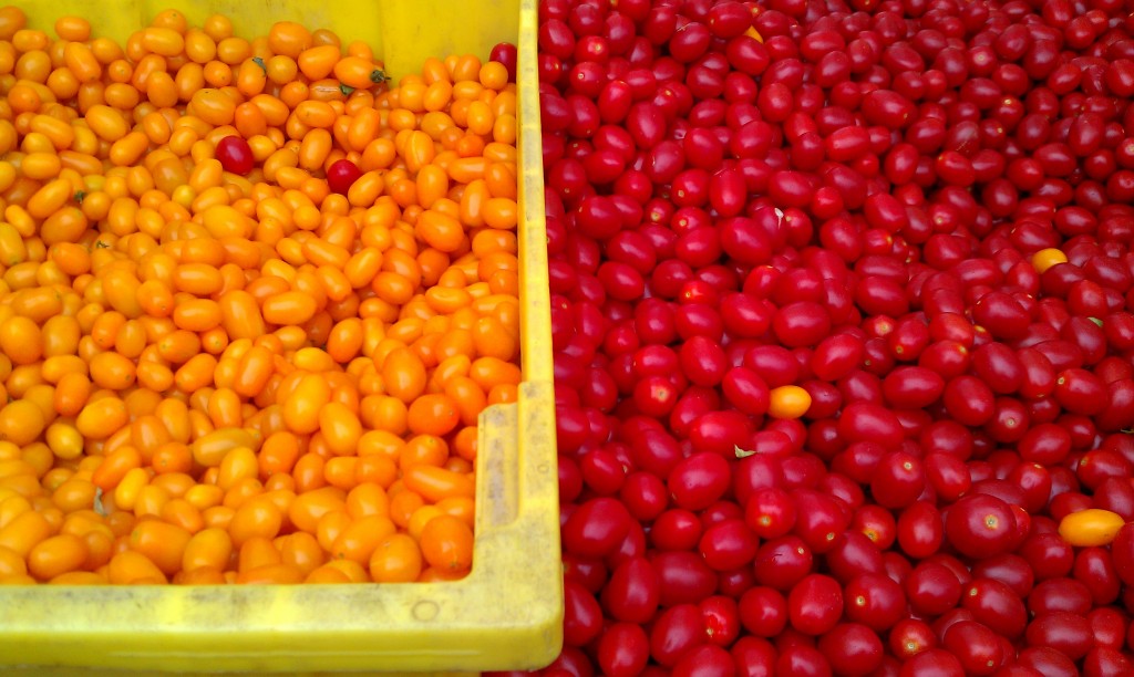 Lee's farm fresh baby tomatoes