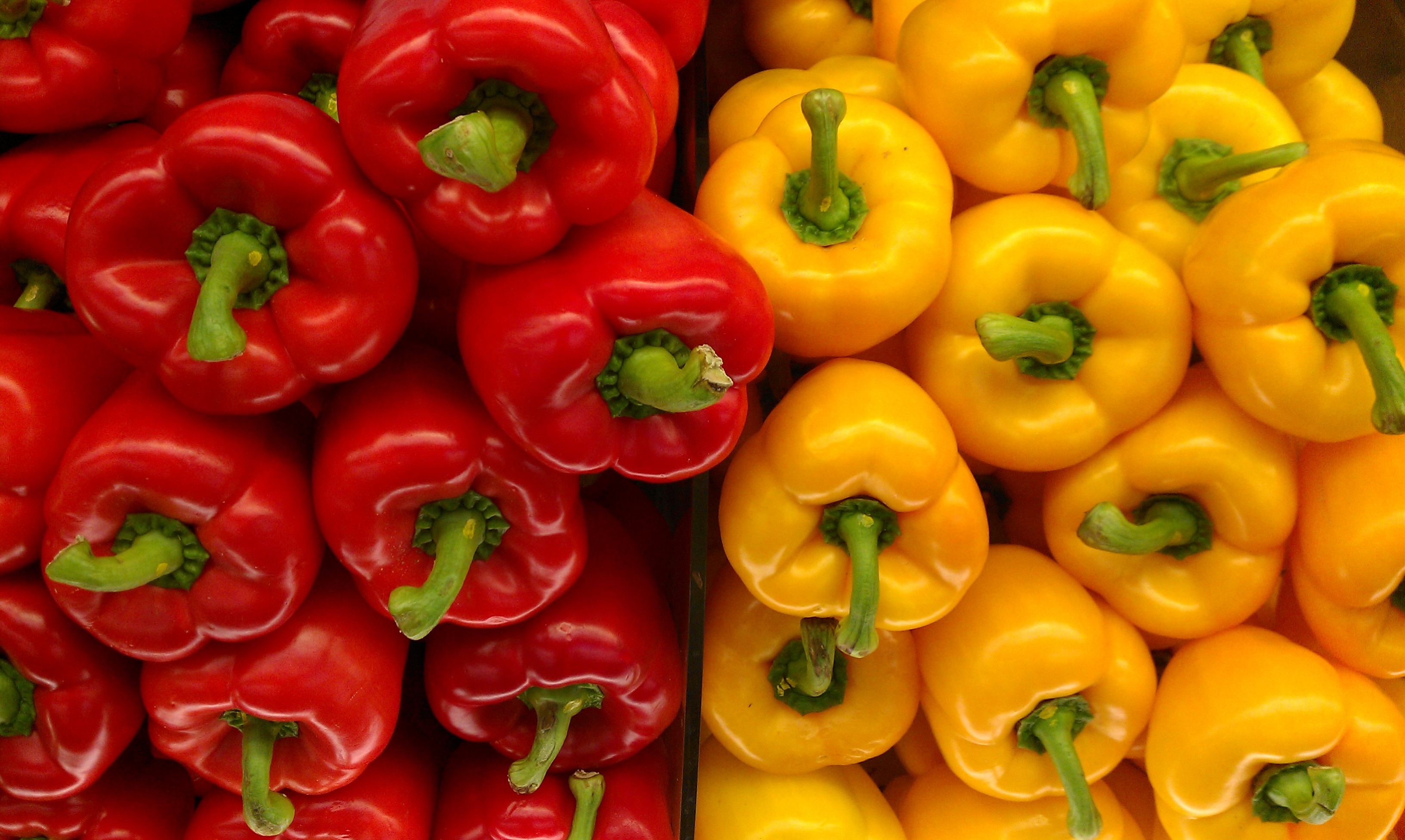 Blissful Kitchen 5 Day Detox Menu